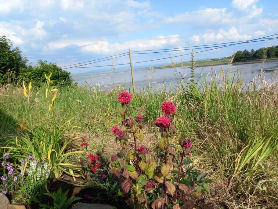 2 Quay Road, Killala. Stunning Sea Front Cottage المظهر الخارجي الصورة